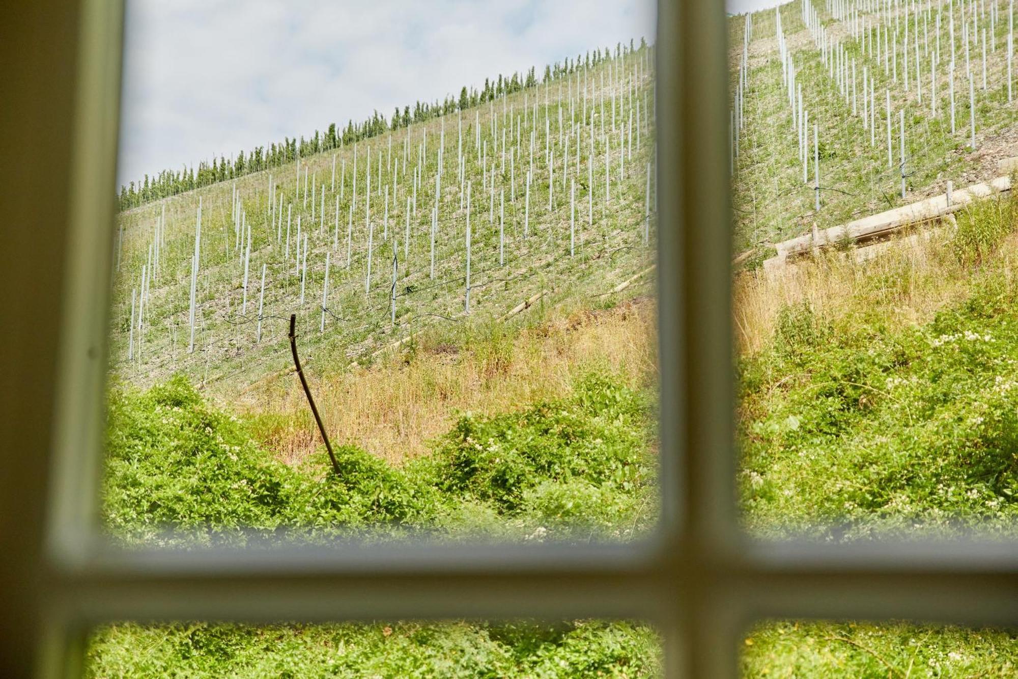 Ferienhaus Alte Muehle Bernkastel-Kues Esterno foto